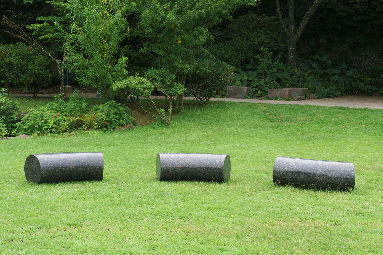 APMAP 2017: Mystic Birth