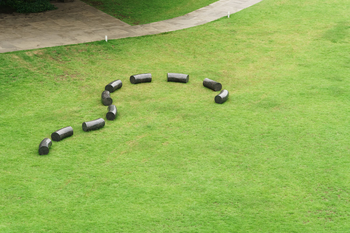 APMAP 2017: Mystic Birth