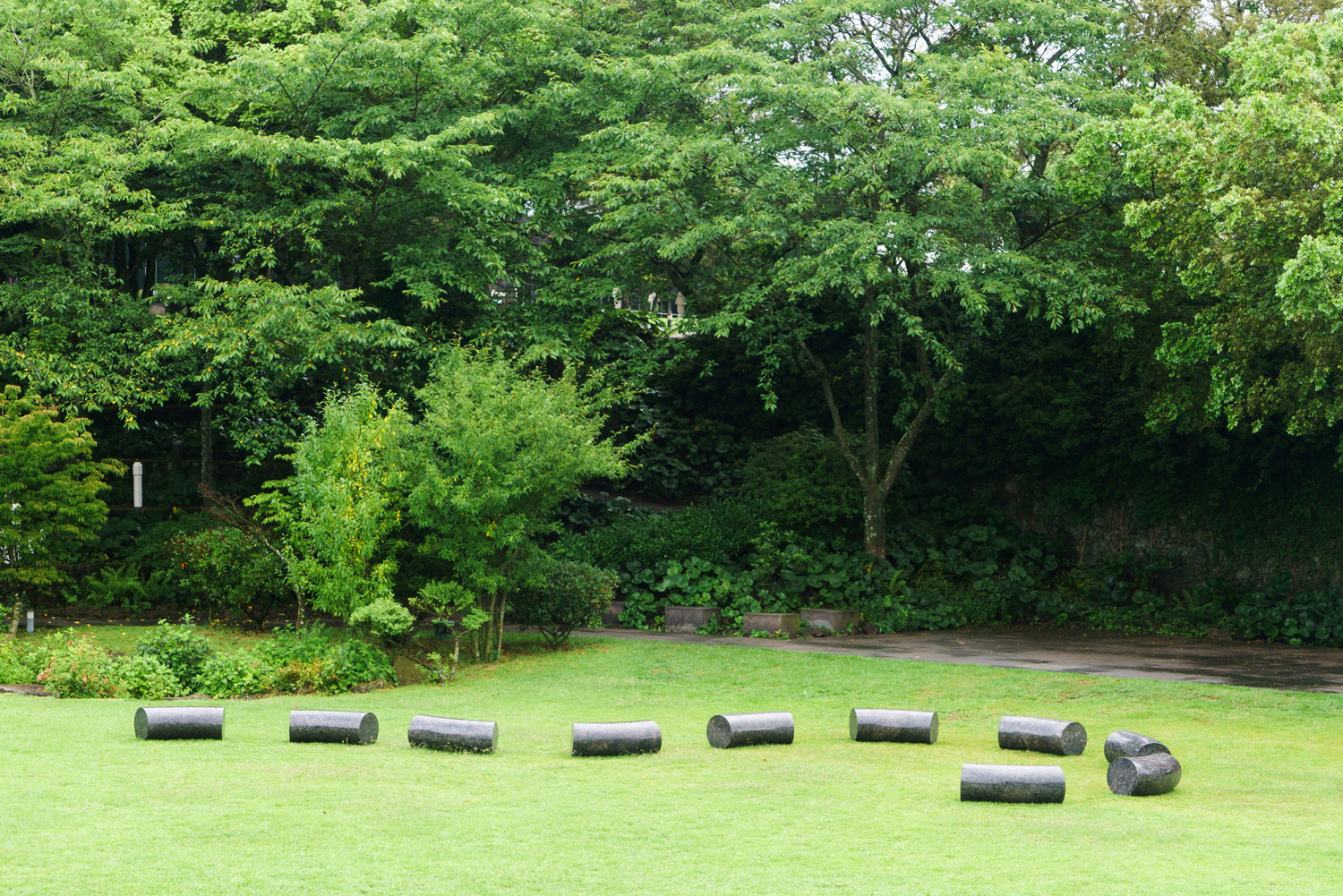 APMAP 2017: Mystic Birth