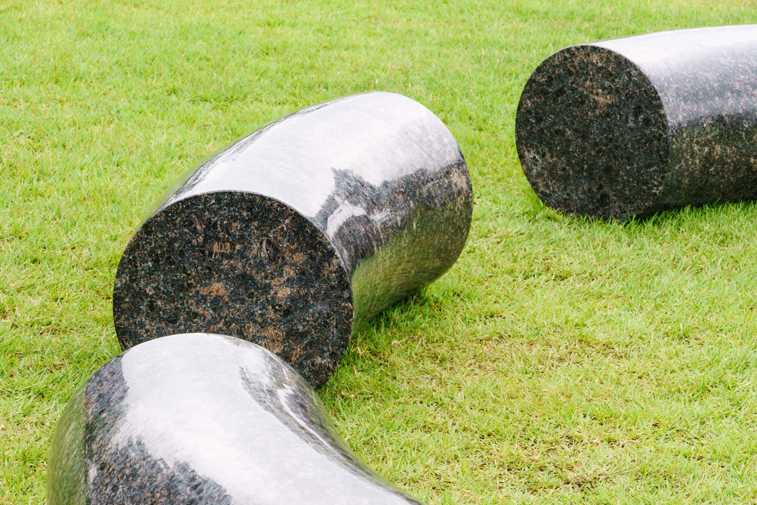 APMAP 2017: Mystic Birth