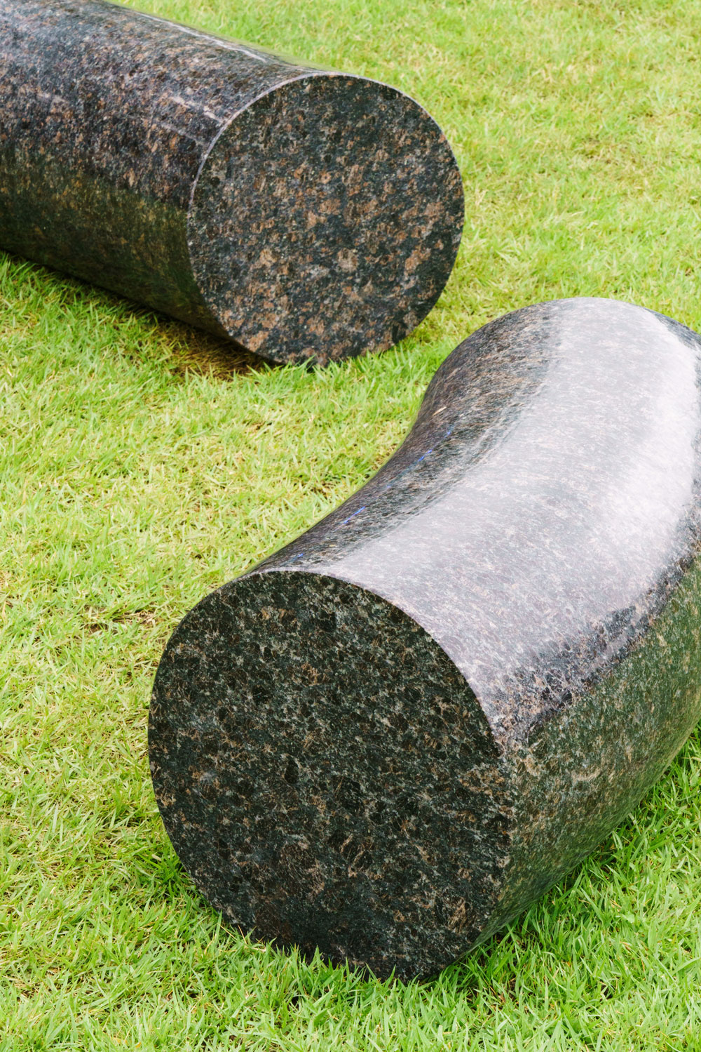 APMAP 2017: Mystic Birth