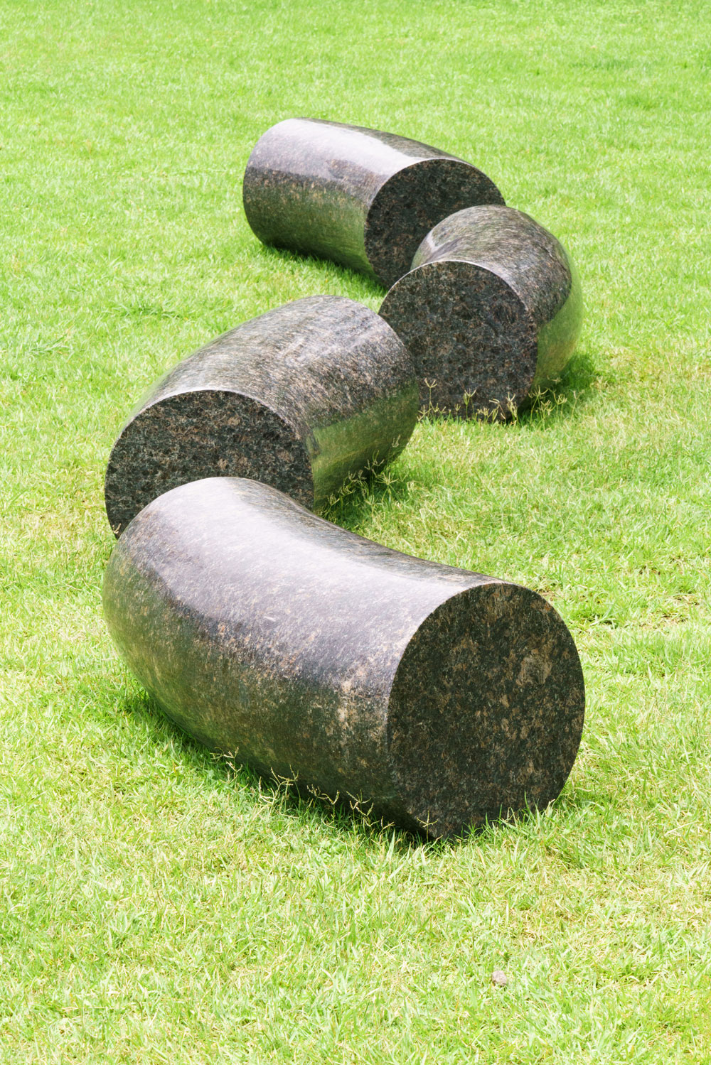 APMAP 2017: Mystic Birth