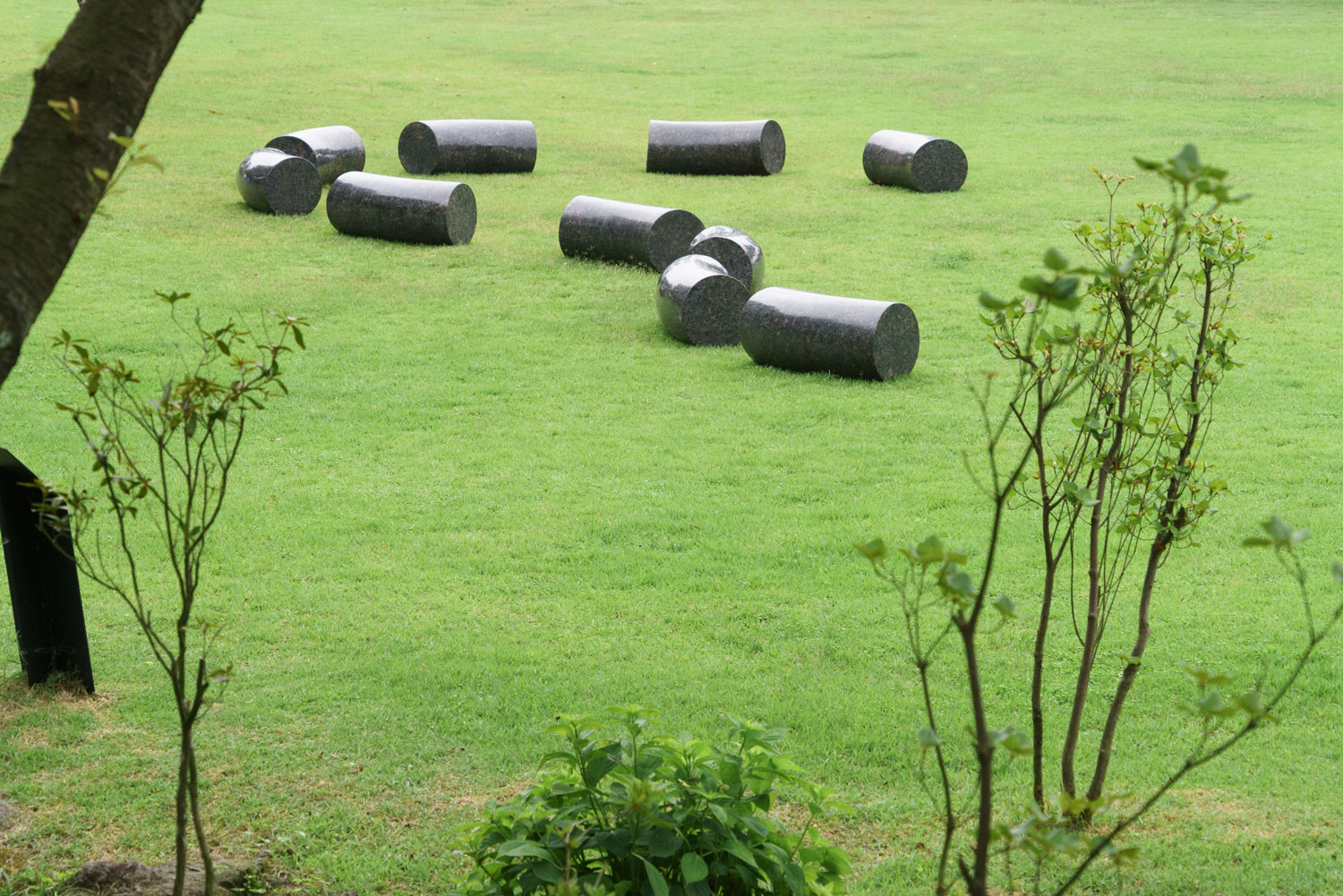 APMAP 2017: Mystic Birth